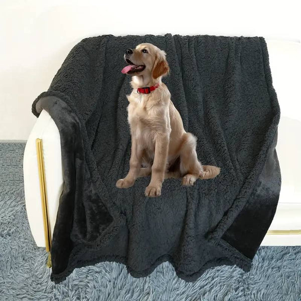 💧Lovers LeakProof Blanket™